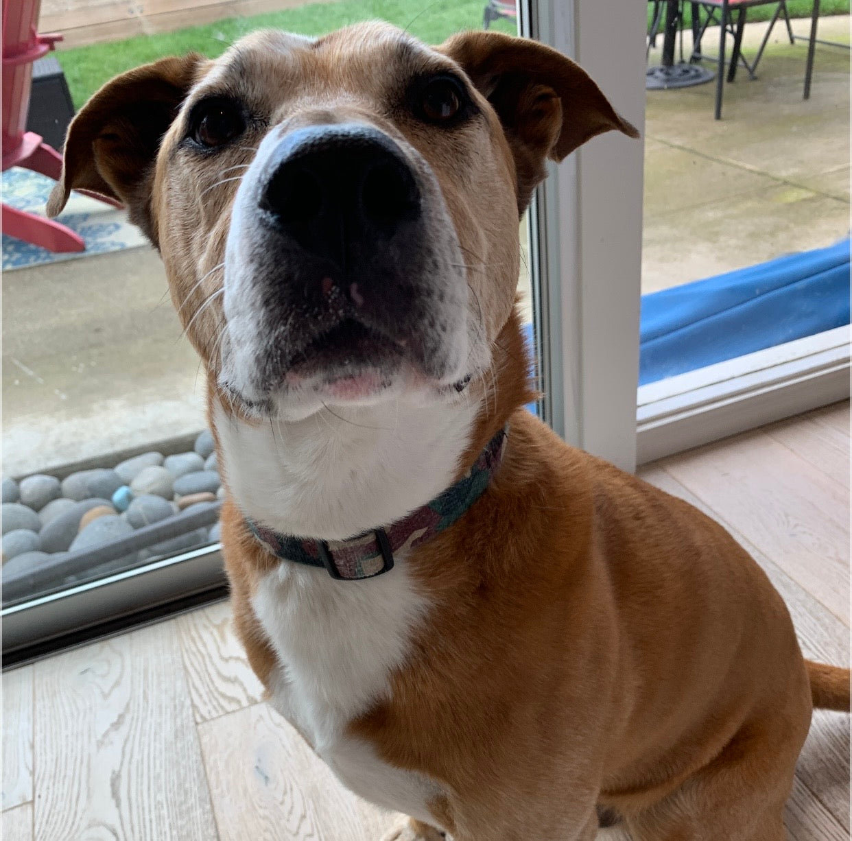 Drop-In Visits