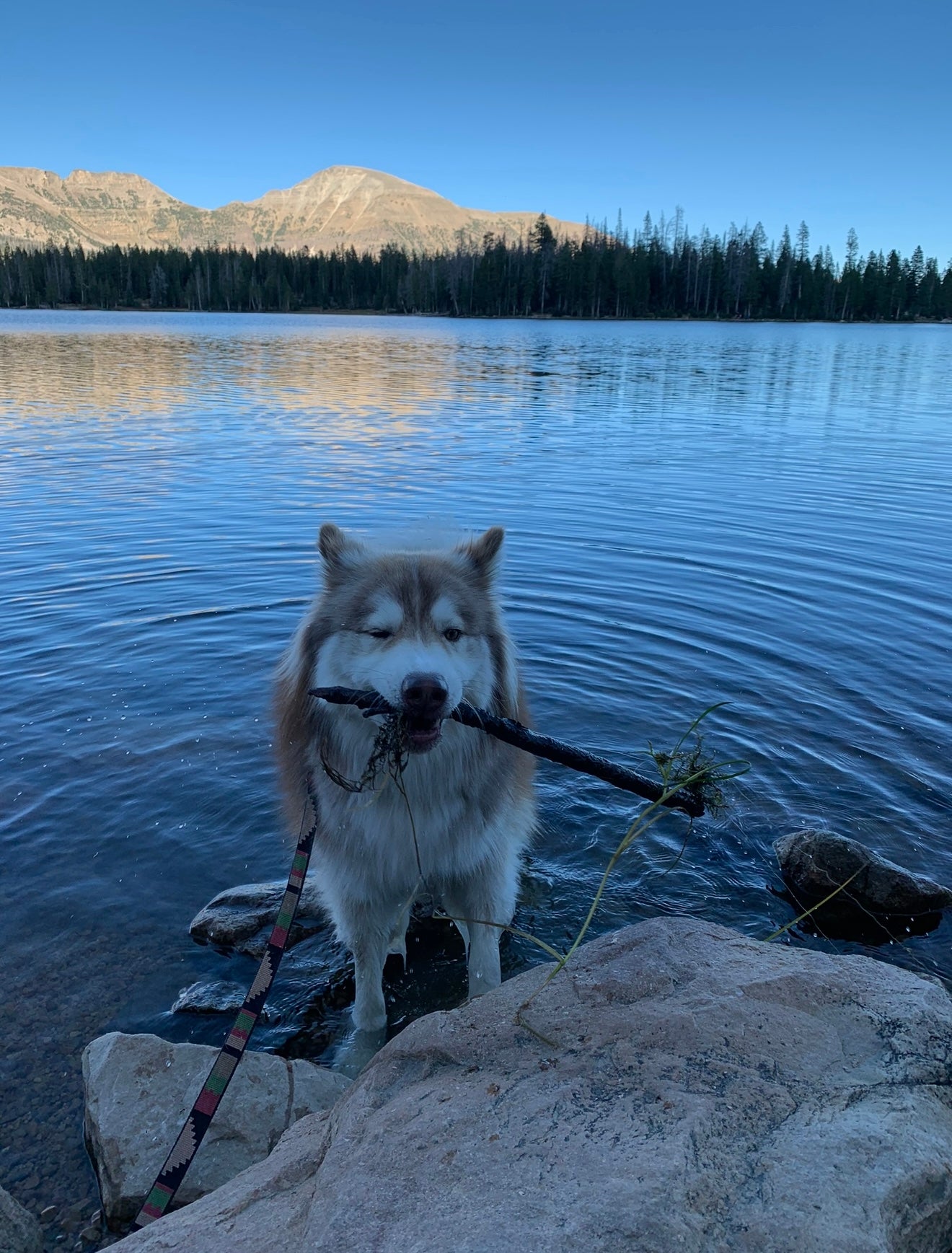 Hikes and Trail Runs